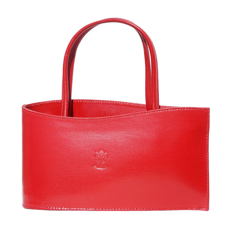 Nano leather handbag-38