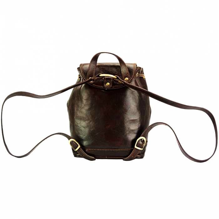 Back view of Amalfi Dark Brown Leather Backpack Purse