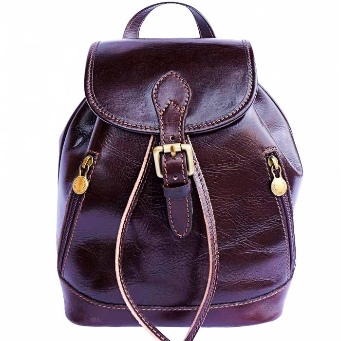 Front view of Amalfi Dark Brown Leather Backpack Purse
