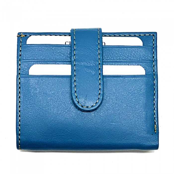 Front view of Arezzo Azure Leather Credit Card Holder
