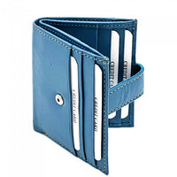 Interior view of Arezzo Azure Leather Credit Card Holder