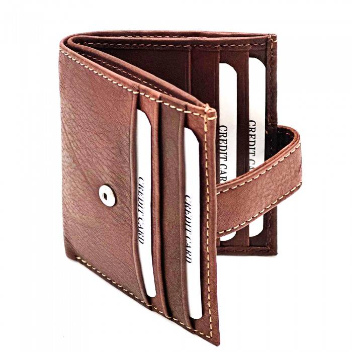 Interior view of the Arezzo Brown Leather Credit Card Holder