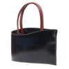 Nano leather handbag-1