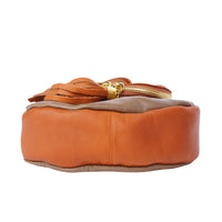 Tarsilla leather shoulder bag-6