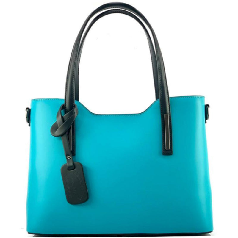 Emily leather Handbag-49