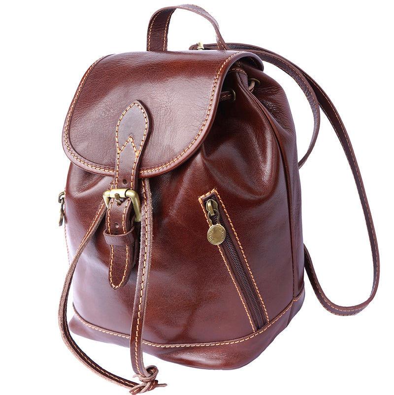 Luminosa Leather Backpack purse-1