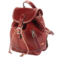 Luminosa Leather Backpack purse-17