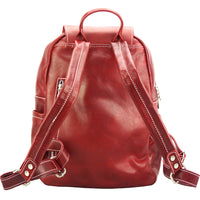 Brittany Backpack in cow leather-14