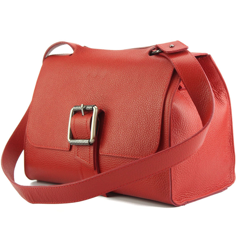 Casimira leather Handbag-4
